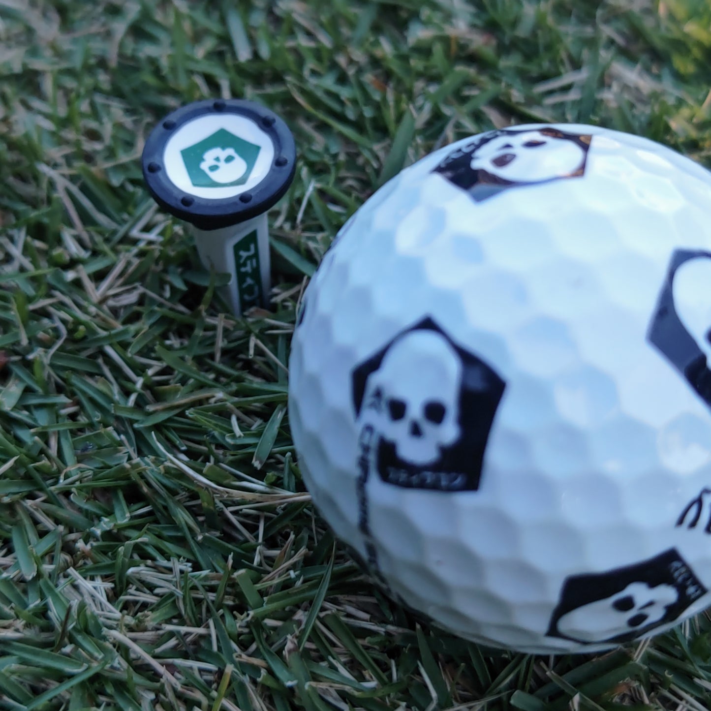 TOUR TEE X STIFFCON Combo Green ツアーティー X スティフコン