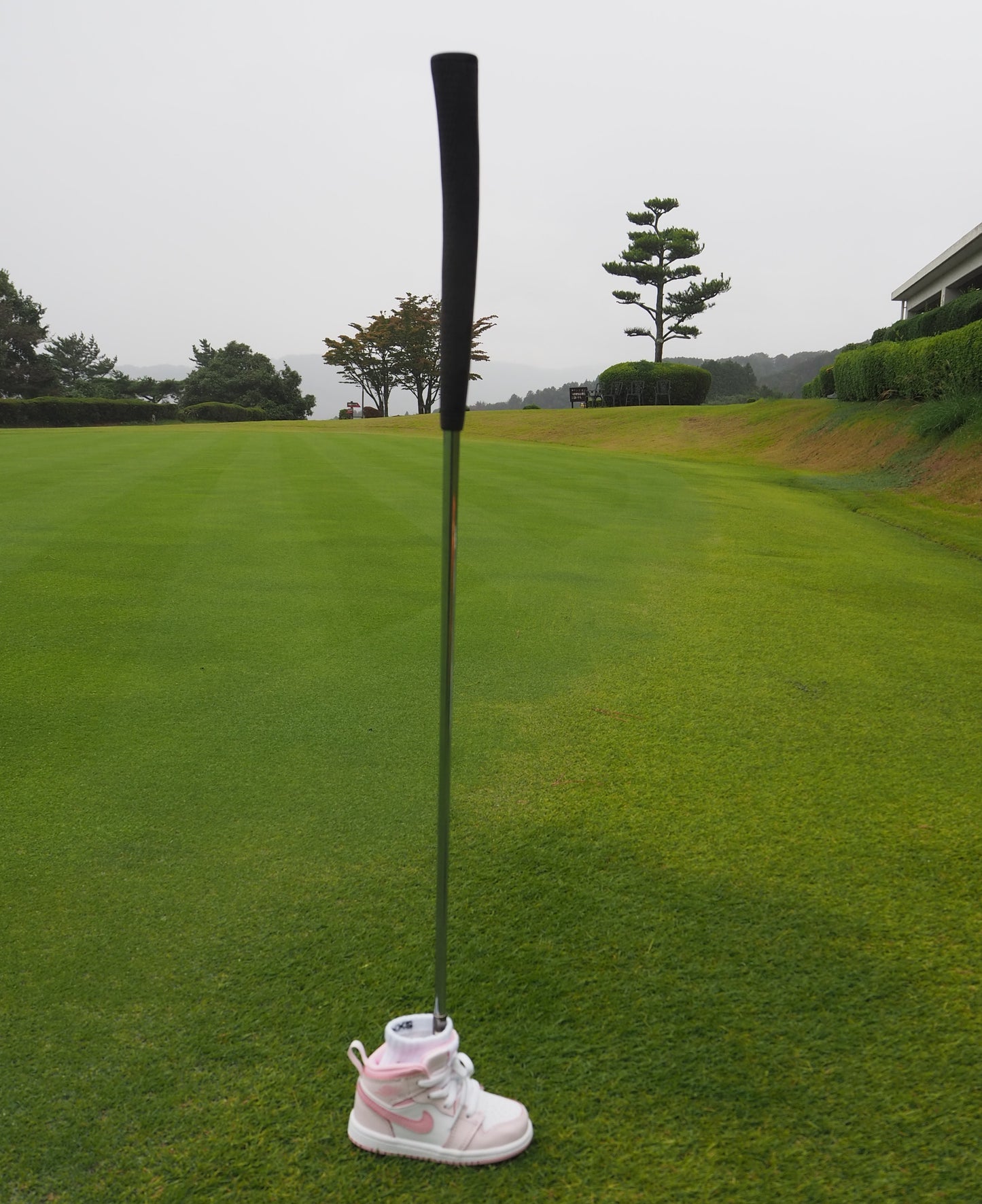 スニーカーパターカバー101/Jordan 1 Mid [PEARL PINK]