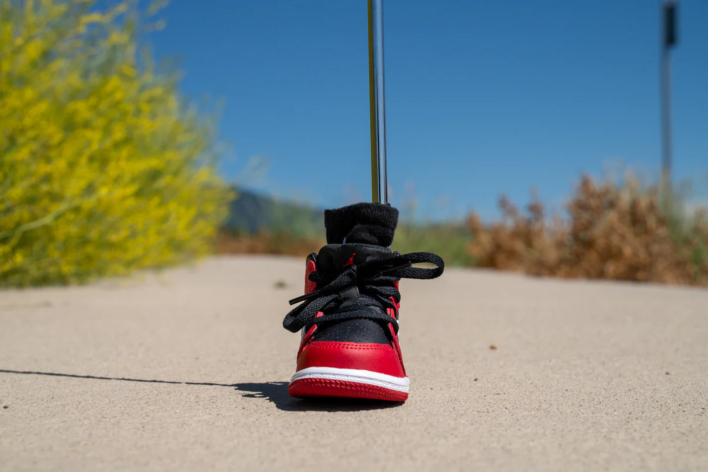 スニーカーパターカバー/Jordan 1 Mid [GYM RED 25]