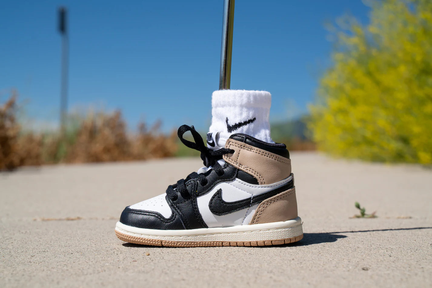 スニーカーパターカバー/Jordan 1 Retro High OG [LEGEND MD]