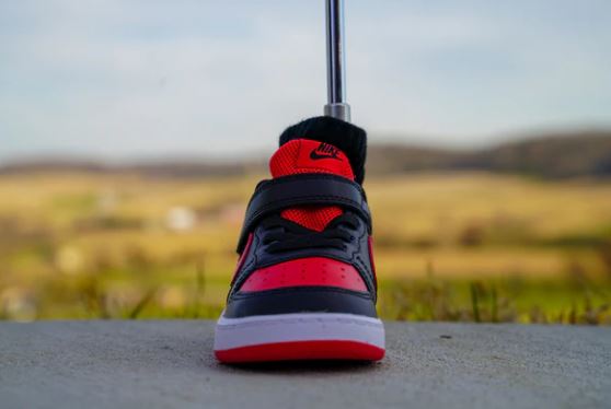 スニーカーパターカバー/Nike Court Borough Low 2 [UNIVERSITY